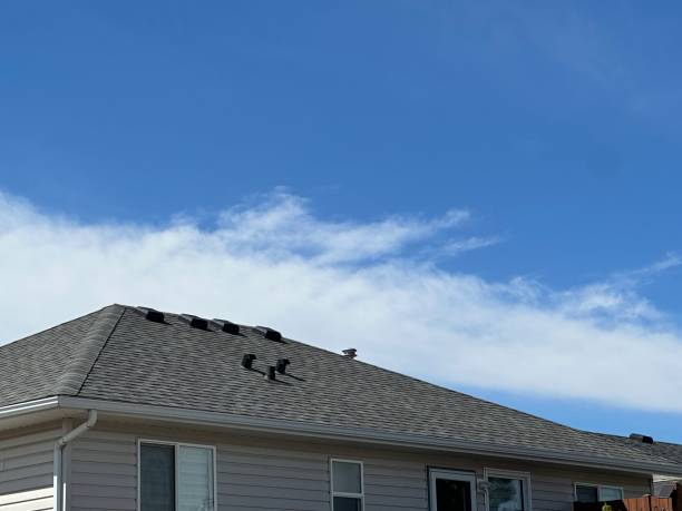 Best Skylights  in Humboldt, KS